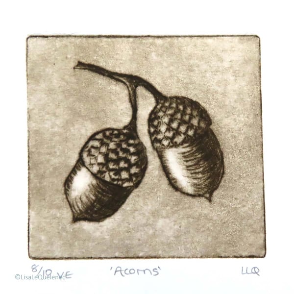 Acorn drypoint no.8 of 10 forest floor shades of autumn small scale print