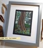 Trunk of a Wellingtonia Tree, Isle of Arran, Scotland.  Landscape art - Image 5