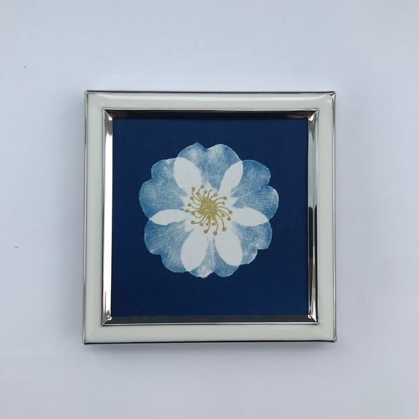 Pretty Botanical Gift, Cyanotype Original Photogram, Botanical Art.