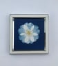 Pretty Botanical Gift, Cyanotype Original Photogram, Botanical Art. - Image 1