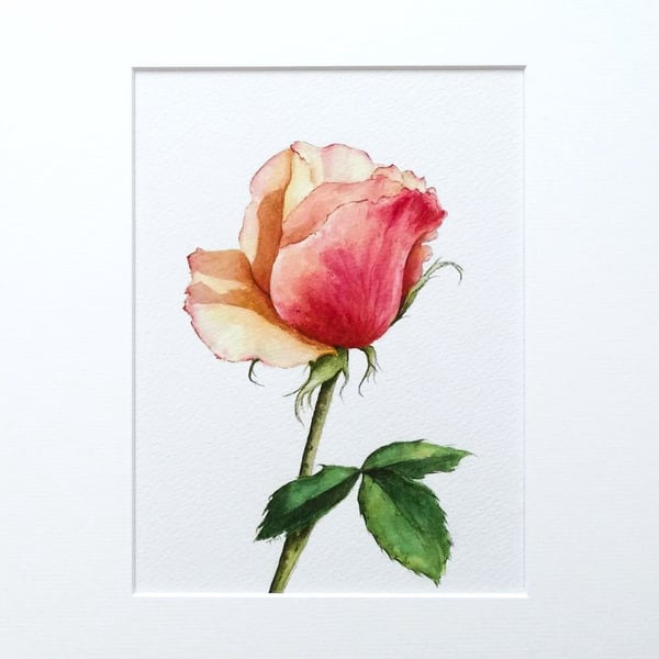 Rose Painting Original Watercolour Floral Art