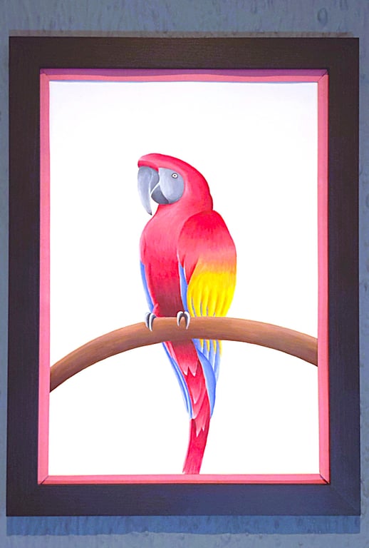 Handmade Unique Framed A3 Print Colourful Macau Parrot Pink Border Wallart