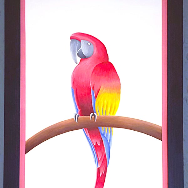 Handmade Unique Framed A3 Print Colourful Macau Parrot Pink Border Wallart