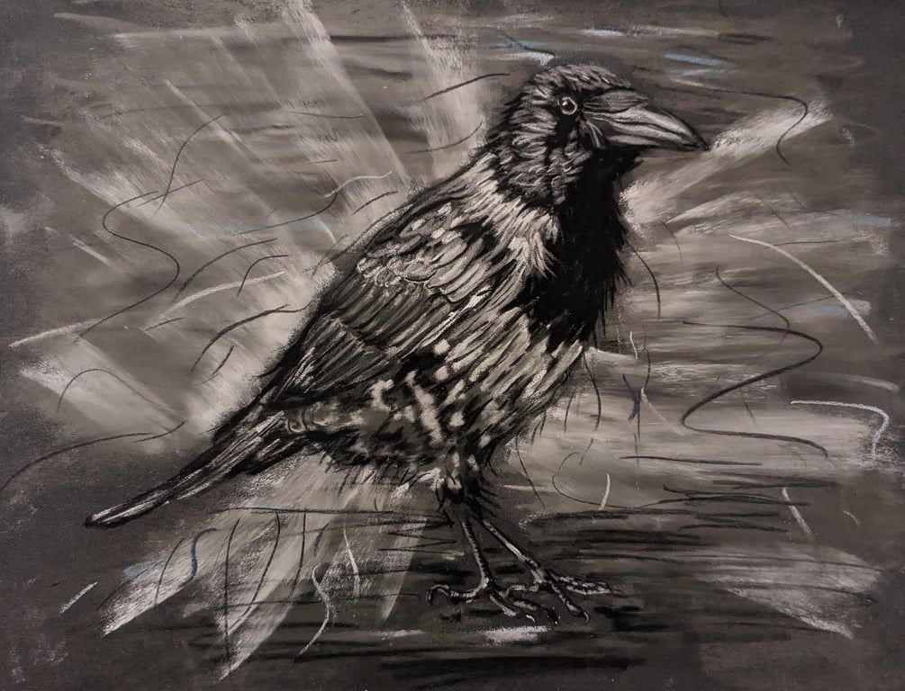 Vienna Crow - An A4 or A3 signed print of an original drawing of a Crow