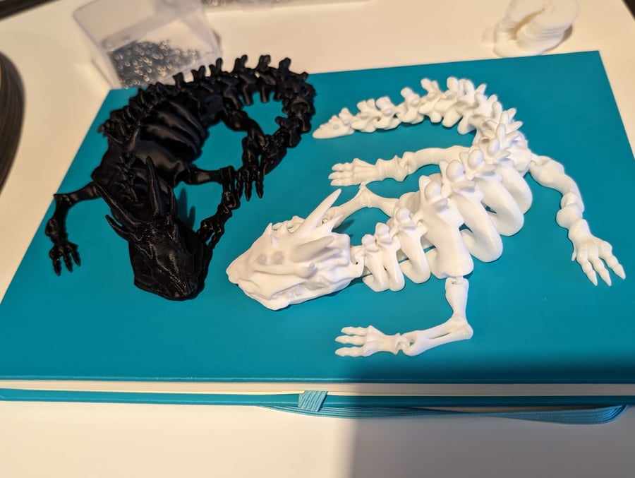 Skeleton Dragon - Flexible 3D Printed Articulated Flexi Fidget Toy