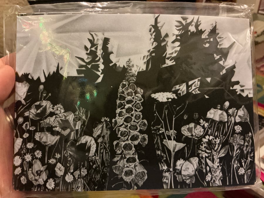 Pack of ten postcards A5 size