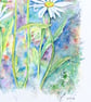 Modern Botanical Watercolour Painting of Ox Eye Daisies.  - Image 5