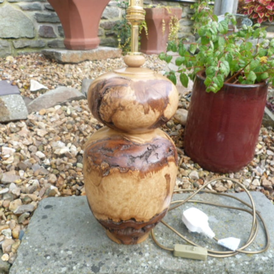 ACCACIA BURR TABLE LAMP