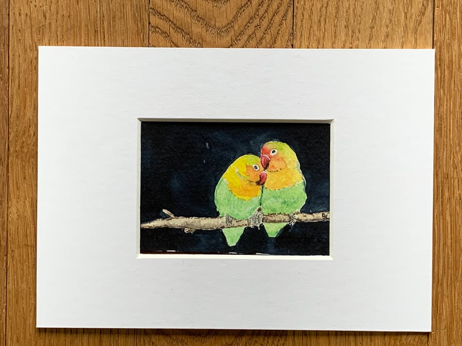 Watercolour of two Lovebirds ACEO - free UK postage 