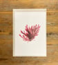 Seaweed art print - Feather Weed