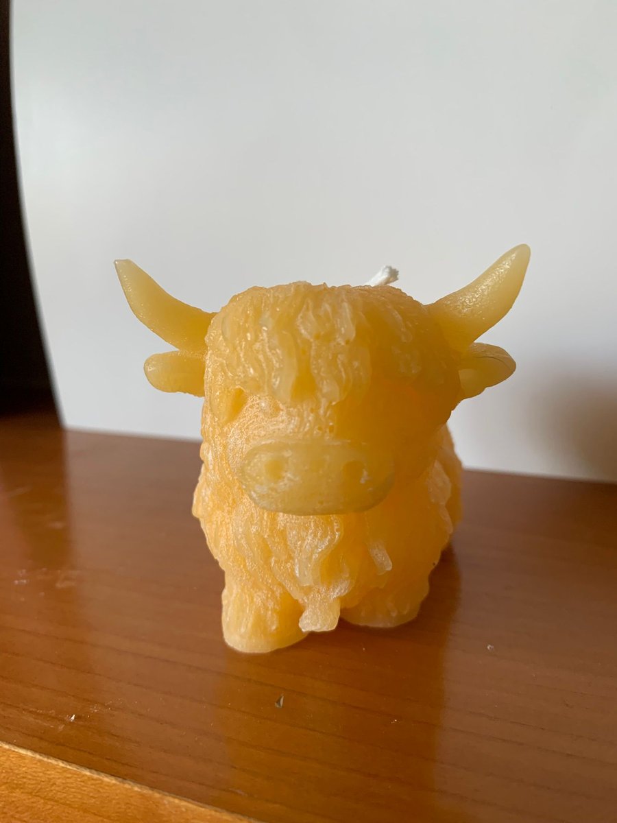 Beeswax Highland cow