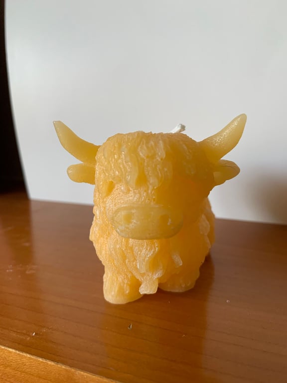 Beeswax Highland cow