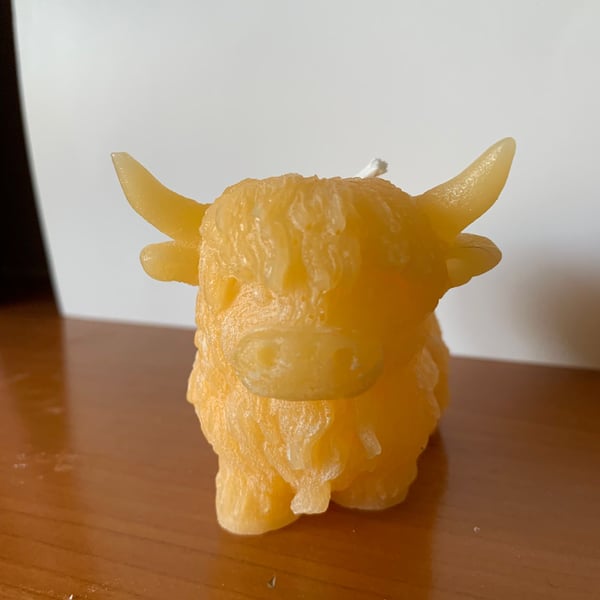Beeswax Highland cow