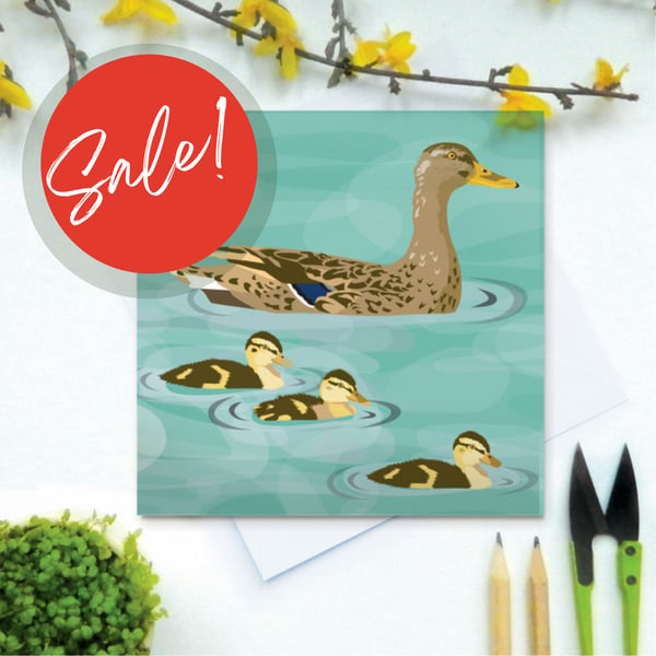 SALE Ducks Card - Easter, birthday, Spring, farm