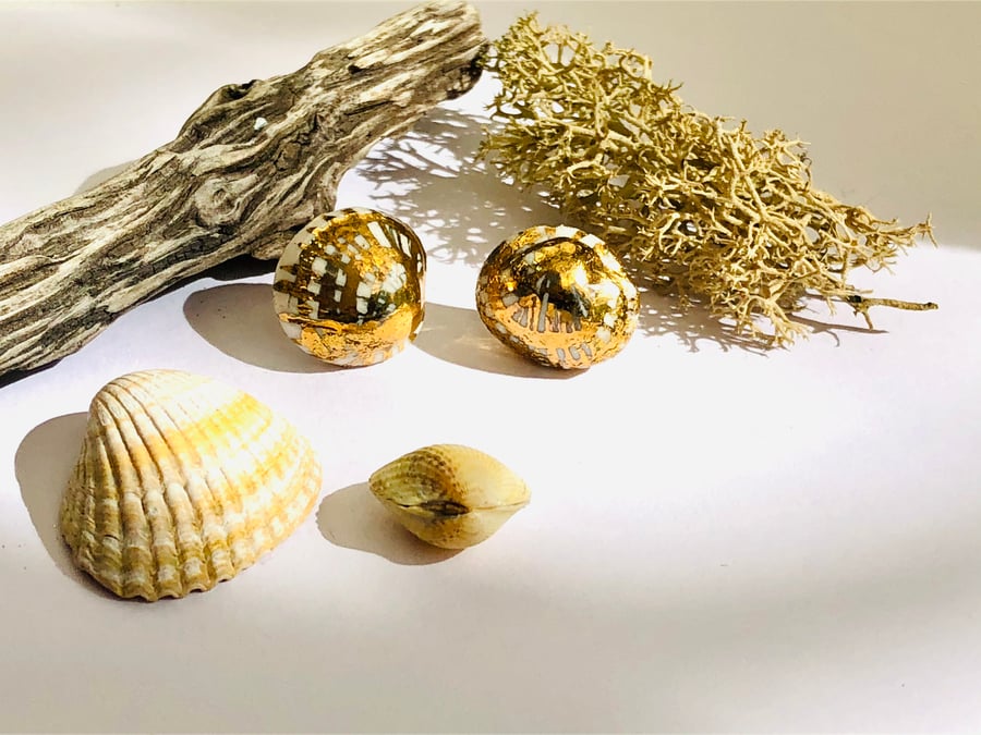 Beautiful Sea shell studs