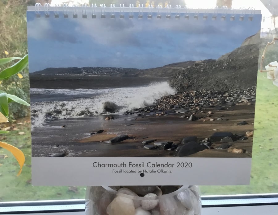 2020 Photographic Calendar. Charmouth Fossil Hunter!  For the Fossil Enthusiast.