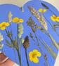 Pressed Flower Hand Painted Wooden Heart Buttercups and Grasses Botanical Art - Image 3
