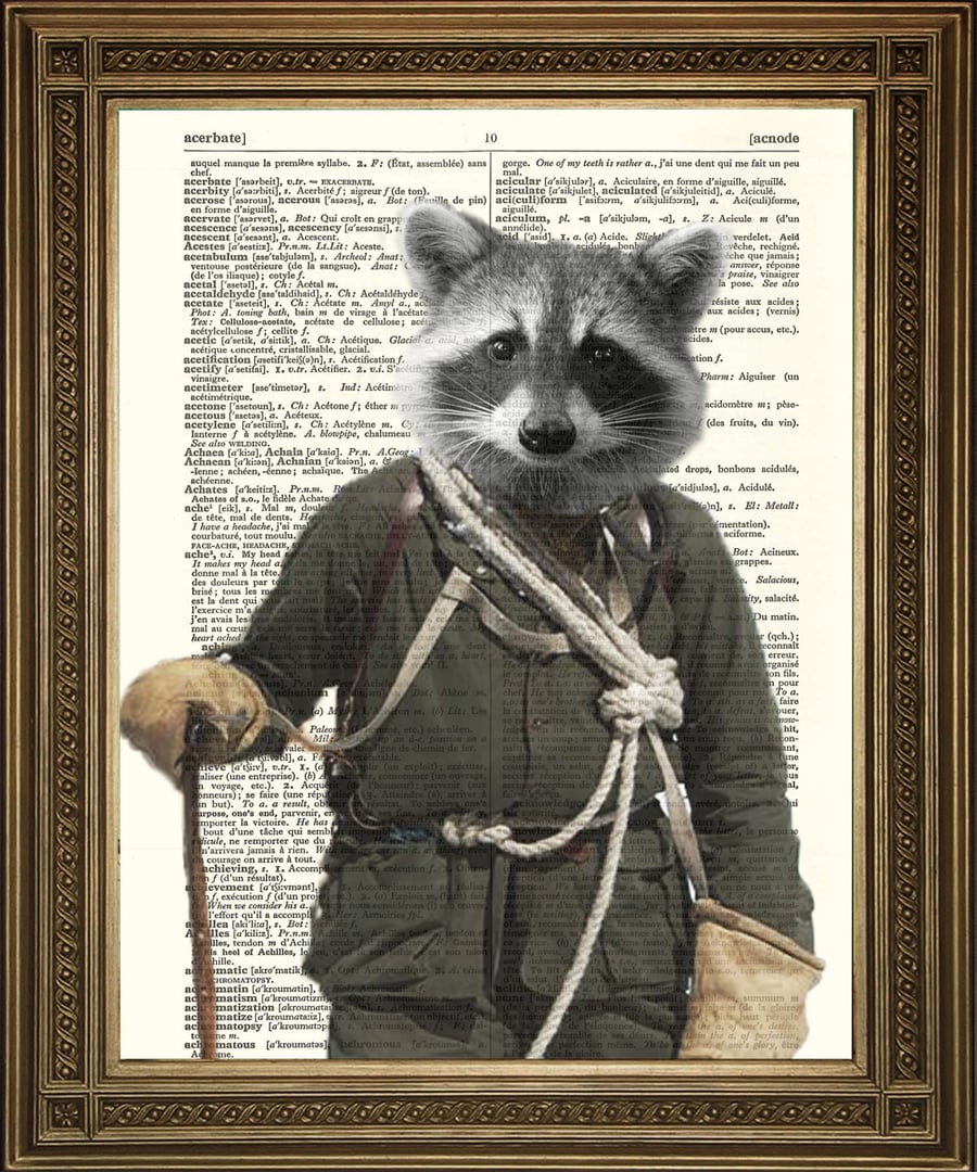 Rocky Raccoon: Dictionary Art Print Mountain Climber