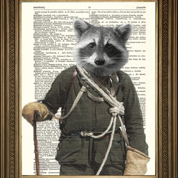 Rocky Raccoon: Dictionary Art Print Mountain Climber