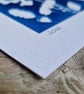 Cyanotype Botanical Print No. 17 - Image 4