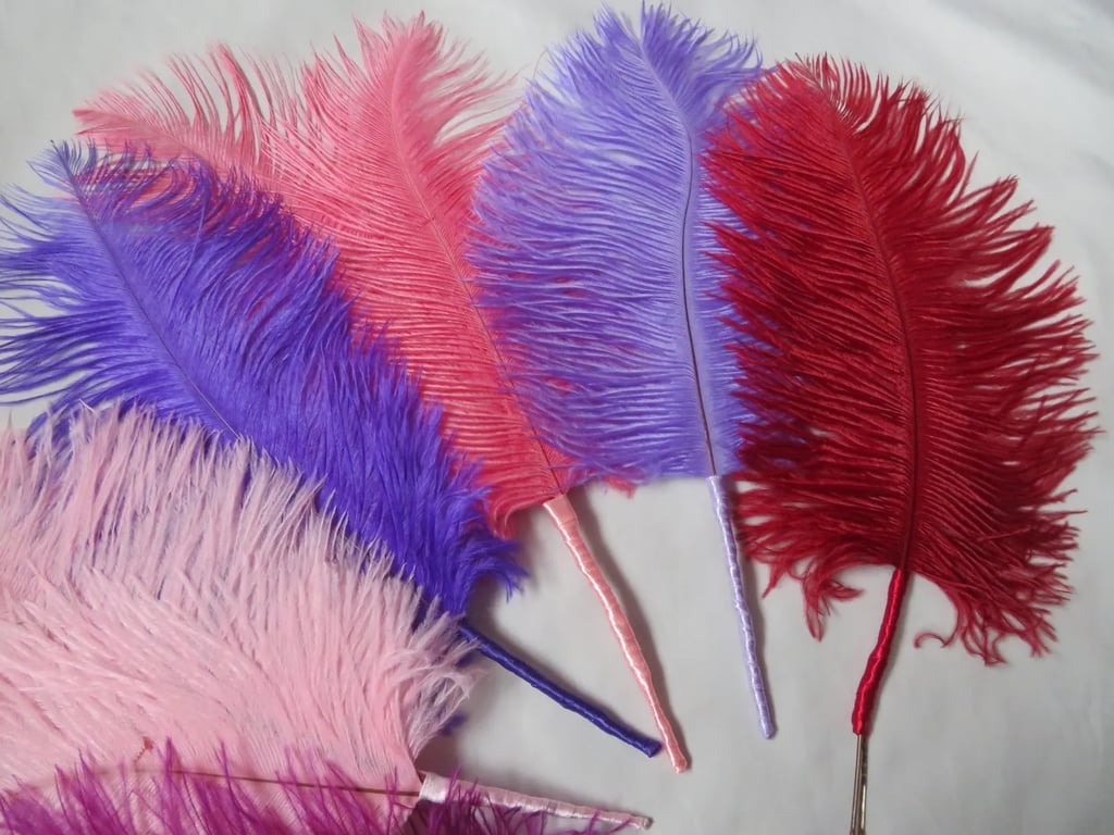 Regency-Inspired Ostrich Feather Hair Piece Plume for Weddings, Balls & Costume
