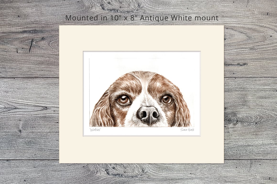 Spaniel Dog Drypoint Print, Short run (no more than 15), 10" x 8" mounted