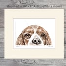 Spaniel Dog Drypoint Print, Short run (no more than 15), 10" x 8" mounted