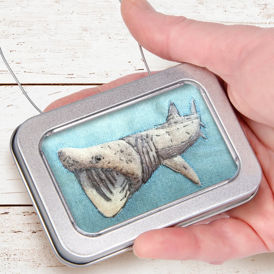 Basking Shark, sea, ocean picture