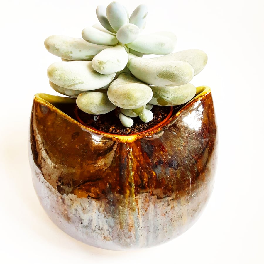 Houseplant Pot Holder 