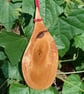 Linden (Lime) Wood Pendant my.