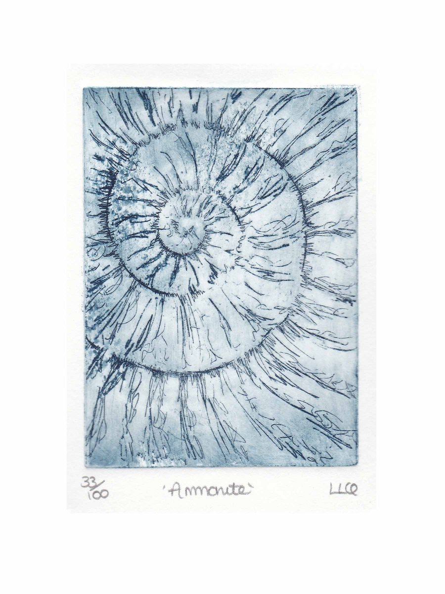 Etching no.33 of an ammonite fossil in an edition of 100