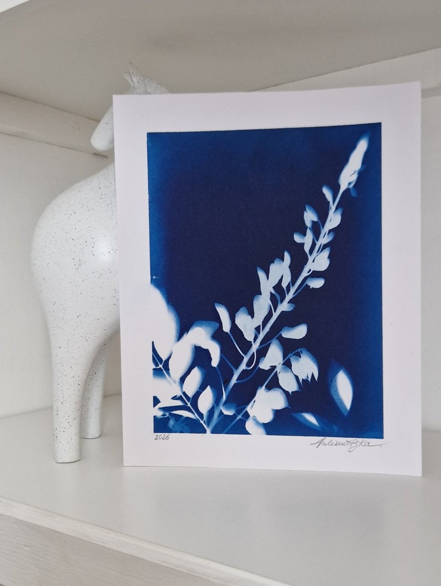 Cyanotype Botanical Print No. 3