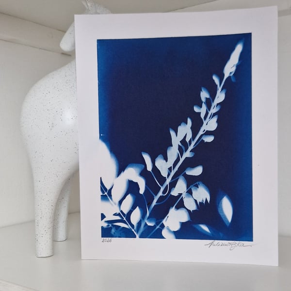 Cyanotype Botanical Print No. 3