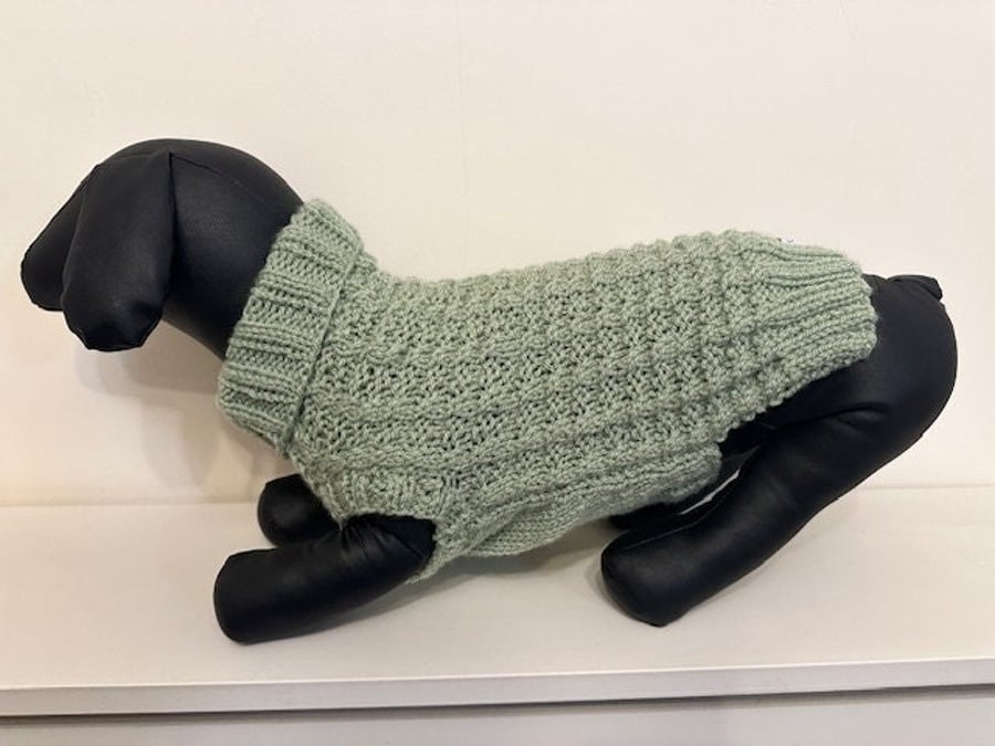 Dog Jumper - Ideal for a Miniature Dachshund or Small Dog