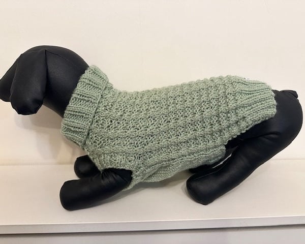 Dog Jumper - Ideal for a Miniature Dachshund or Small Dog