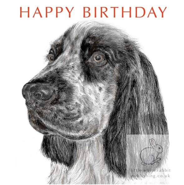 Geordie the Cocker Spaniel - Birthday Card