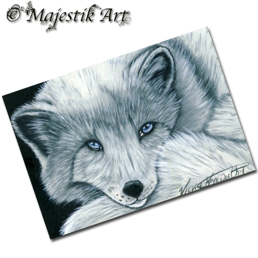 Archival ACEO Arctic Fox Print 'Blue eyed' By V Kenworthy