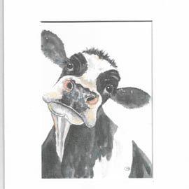 Cute black and white cow. Print with mount