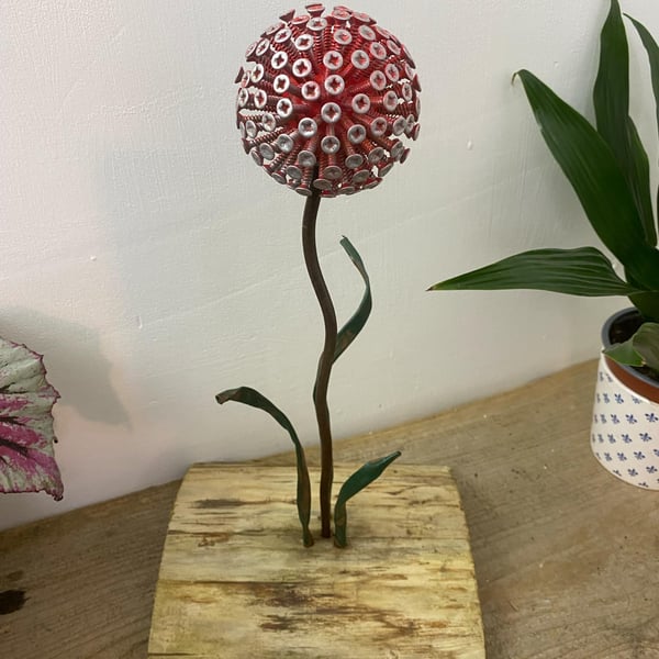 Red Dandelion Feature With Base
