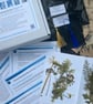 Botanical Cyanotype Starter Kit