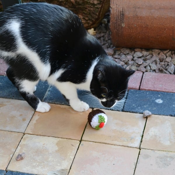 Cats Xmas Pudding Toy 