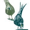 Pheasants A3 poster-print