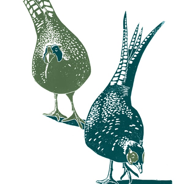 Pheasants A3 poster-print