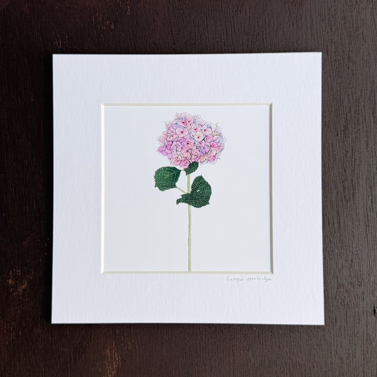 'Pink Hydrangea' 8" x 8" Mounted Print