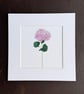 'Pink Hydrangea' 8" x 8" Mounted Print