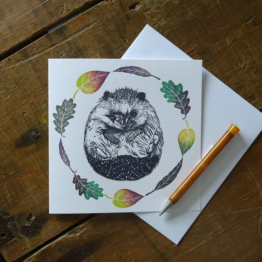 Hedgehog Greetings Card - cute, blank, birthday