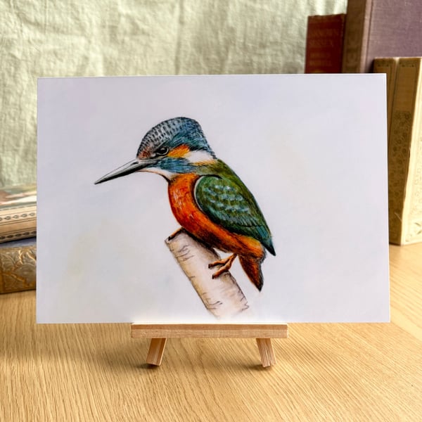 Kingfisher - Art Print A5 or A4