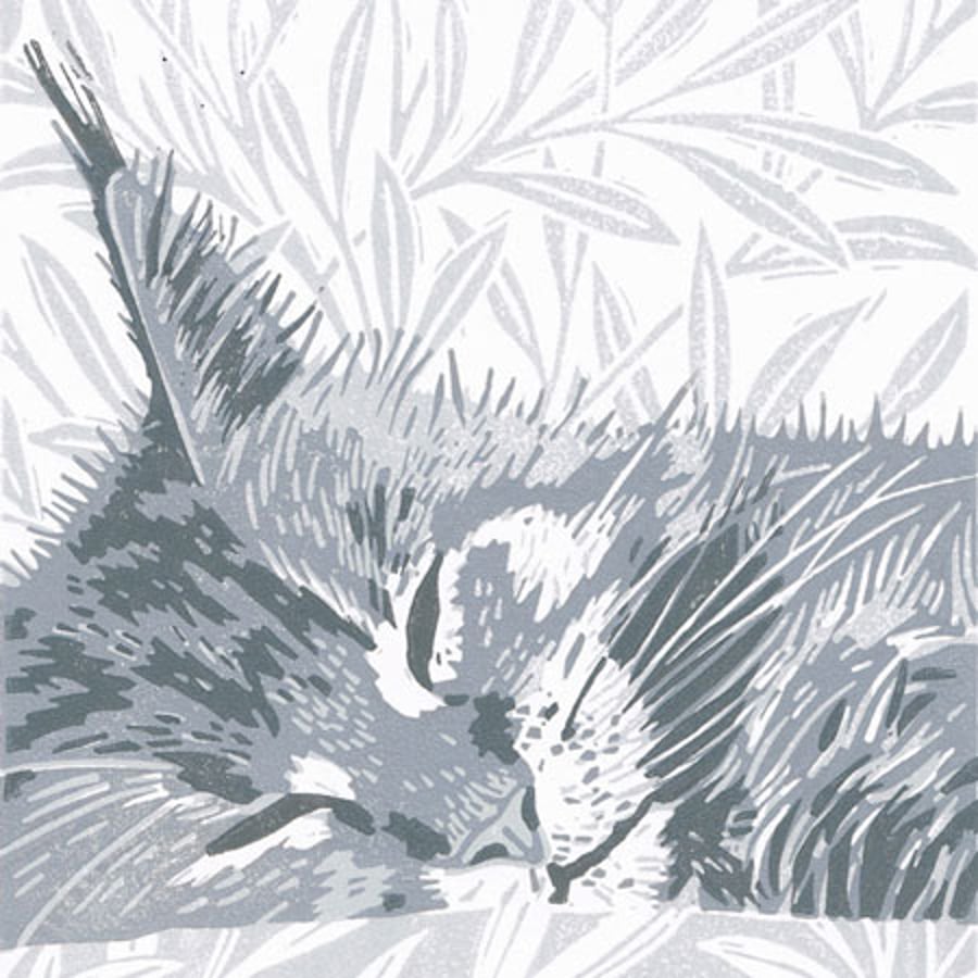 'Grey Maine Coon Cat' - Original linocut print 