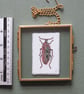 Embroidered Beetle in Metal and Glass Frame - Image 4