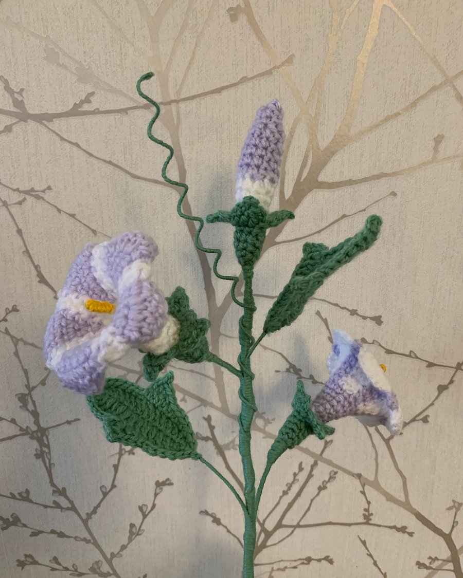 Crochet, Morning glory flowers  